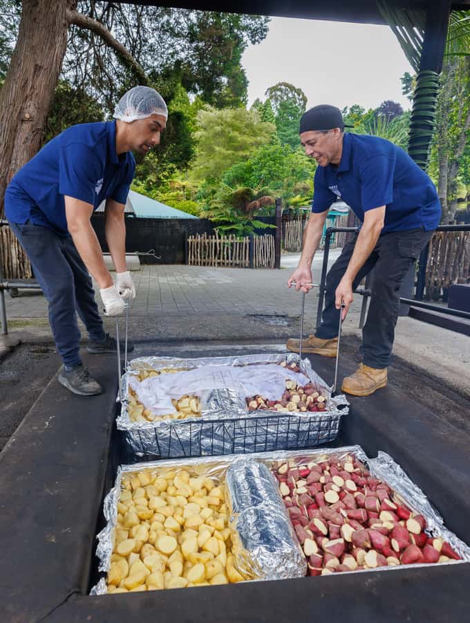 Mitai Maori Village: Cultural Experience and Dinner Buffet - Is $101 a fair price?