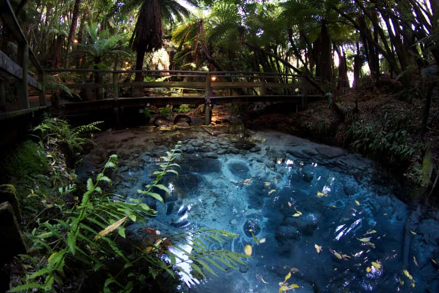 Mitai Maori Village: Cultural Experience and Dinner Buffet - Who will enjoy this evening most?