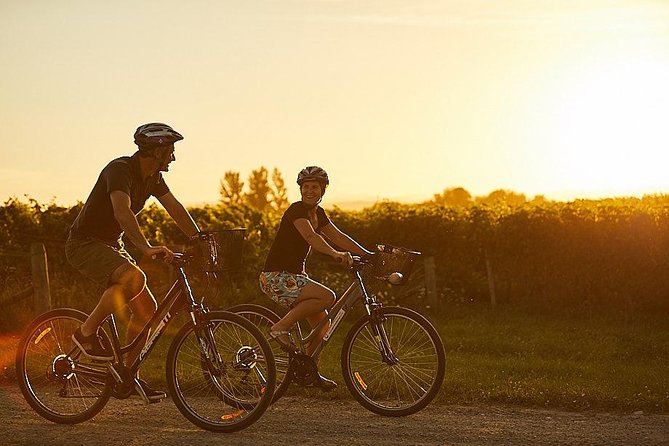Morning Guided with Afternoon Self-Guided Biking Wine Tour - Why the Flat Route Works So Well
