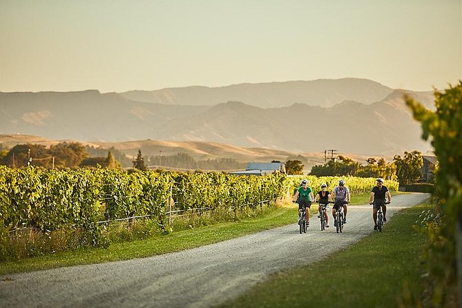 Morning Guided with Afternoon Self-Guided Biking Wine Tour - Lunch Is Your Responsibility