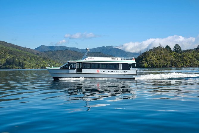 Motuara Island Bird Sanctuary and Ship Cove Cruise from Picton - Wildlife: rewarding, but never guaranteed