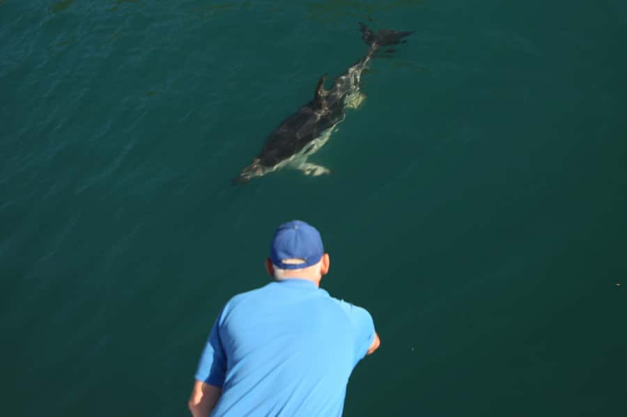 Motuara Island Sanctuary: Wildlife & Dolphin Watching Tour - Who will get the most from this tour