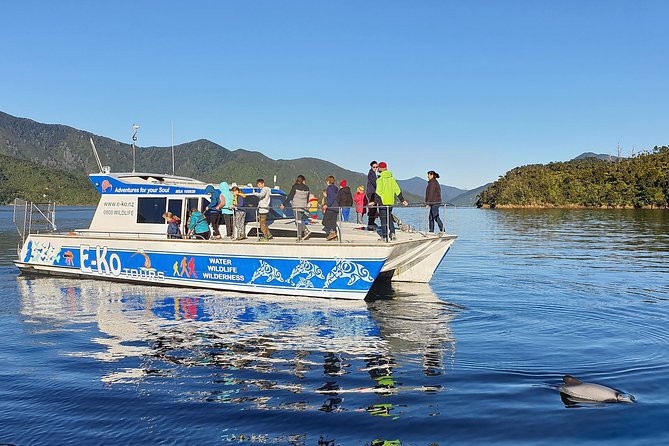 Motuara Wildlife Sanctuary Tour and Dolphin Cruise from Picton - Starting at E-Ko Tours in Picton