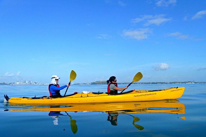Motukorea / Browns Island Sea Kayak Journey - Views from the volcanic summit