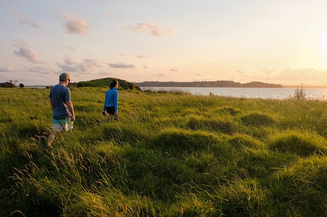 Motukorea / Browns Island Sea Kayak Journey - Helping protect the Hauraki Gulf
