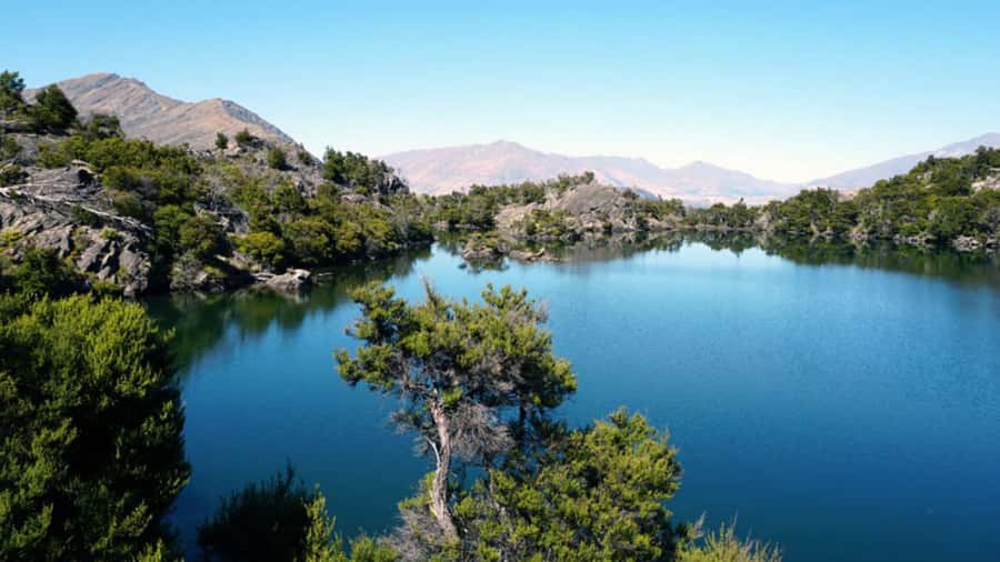 Mou Waho Island: 3-Hour Cruise and Guided Nature Walk - Walking up to the island lake
