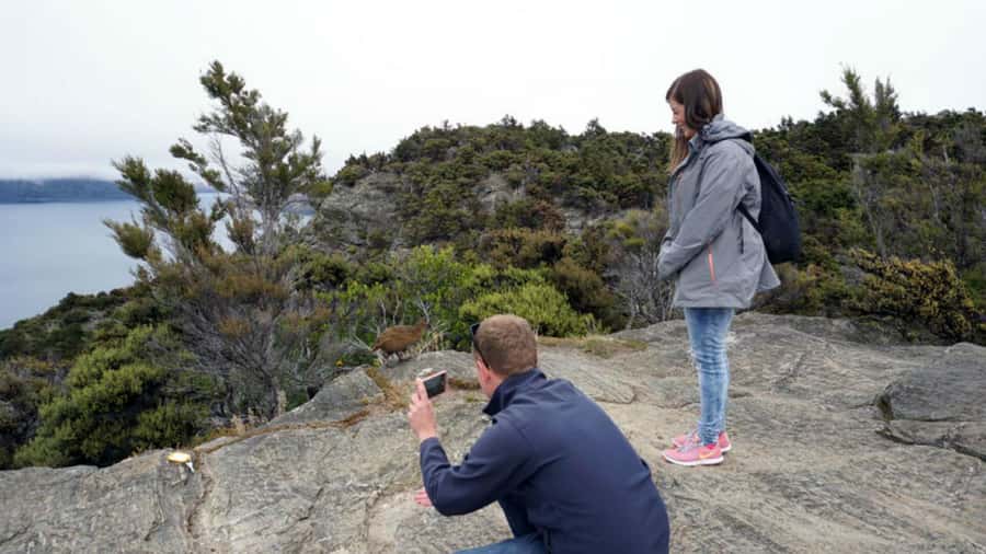 Mou Waho Island: 3-Hour Cruise and Guided Nature Walk - The lookout rock and the best photographs