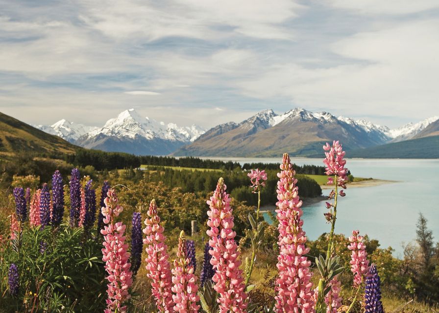 Mt. Cook Day-Tour: Christchurch to Queenstown - What $230 buys you