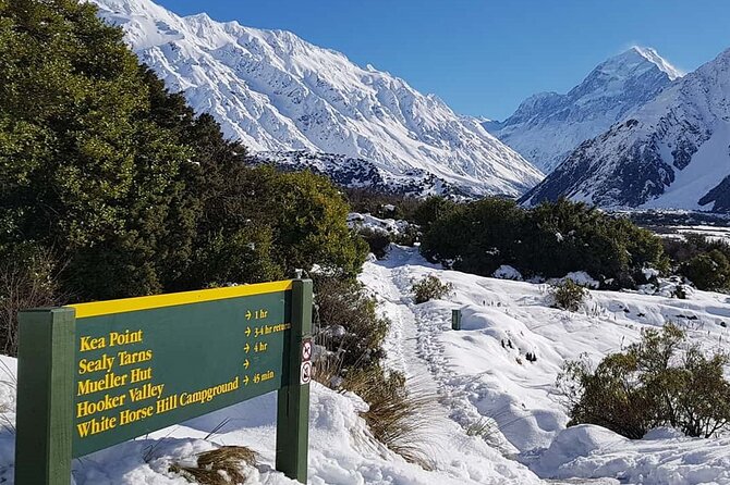 Mt Cook & Lake Tekapo 2-Day Small Group Tour from Queenstown - Evening beside Lake Tekapo