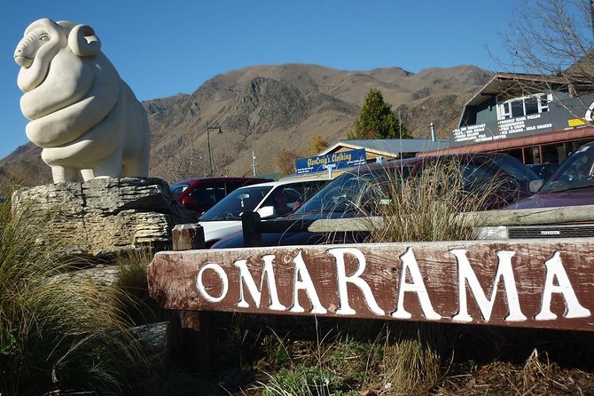 Mt Cook Small Group Scenic Day Tour from Queenstown - High Country Salmon and the return drive