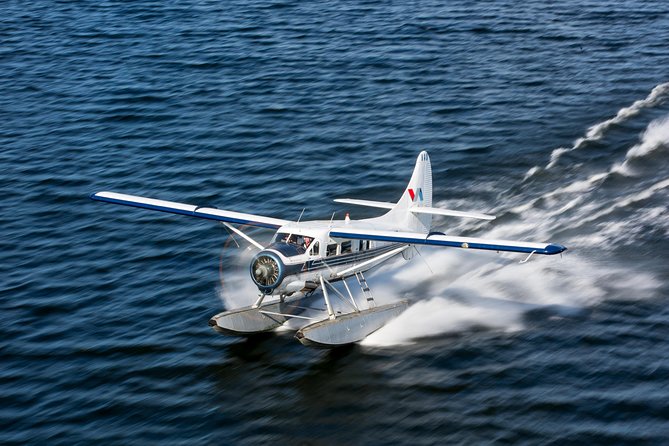 Mt. Tarawera Volcano Scenic Floatplane Tour from Rotorua - Key points at a glance
