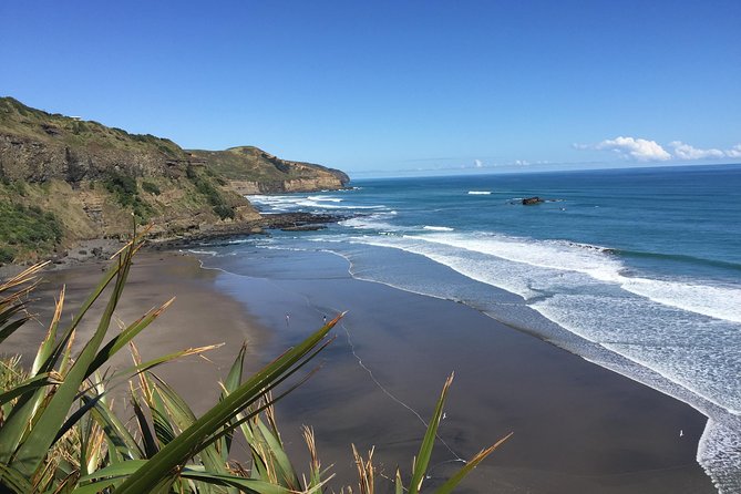 Muriwai Scenic Wine Tour from Auckland - From SkyCity to Auckland’s western wine country