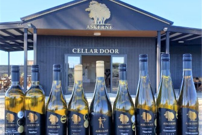 Napier: Afternoon Wine Tasting + visit Silky Oaks Chocolates - What is included for $121.01?