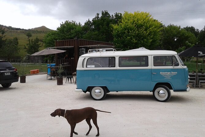 Napier and Hawkes Bay Scenic and Art Deco Tour by VW Kombi - Why the 1970 Kombi changes the outing