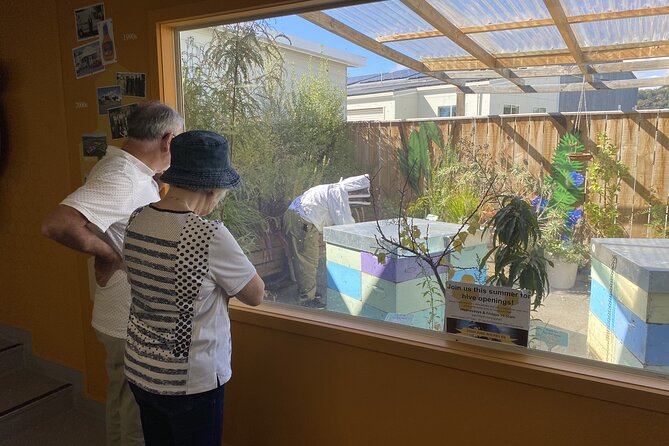 Napier and Hawkes Bay Scenic and Art Deco Tour by VW Kombi - Te Mata Peak delivers the biggest view