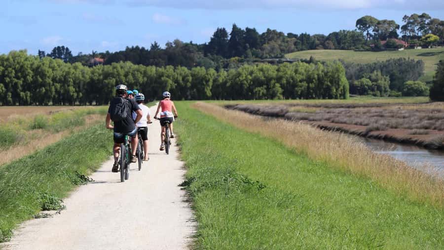 Napier: Art Deco Bike Ride and Wineries Loop - Starting beside the port in Ahuriri