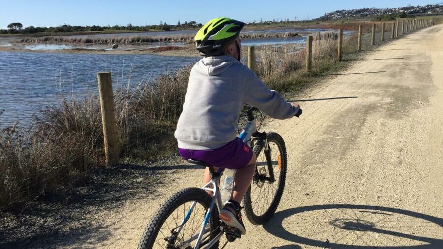 Napier: Art Deco Bike Ride and Wineries Loop - Two winery stops in Taradale
