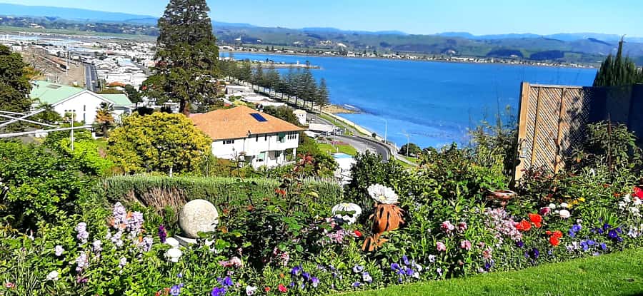 Napier: Art-Deco + Te Mata Peak+ Garden Walk + Wine Tasting - Key points to know before you book