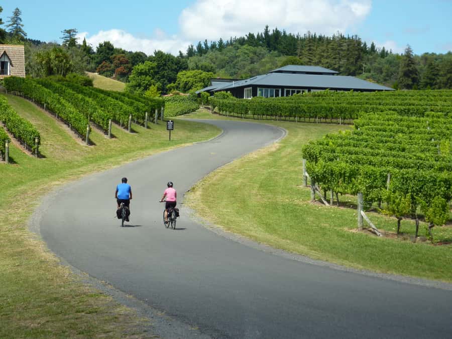Napier: Cape Coast Winery Tour on E-Bikes - Key points at a glance