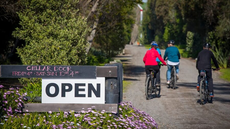 Napier: Cape Coast Winery Tour on E-Bikes - Lunch and wine at Askerne Estate