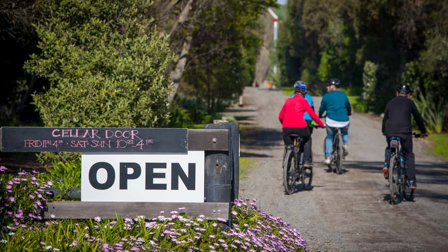 Napier: Cape Coast Winery Tour on E-Bikes - Who will enjoy this day most