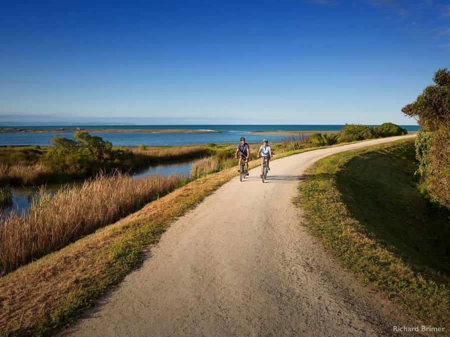 Napier: Cape Coast Winery Tour on E-Bikes - Meeting in Napier and heading to Cape Kidnappers