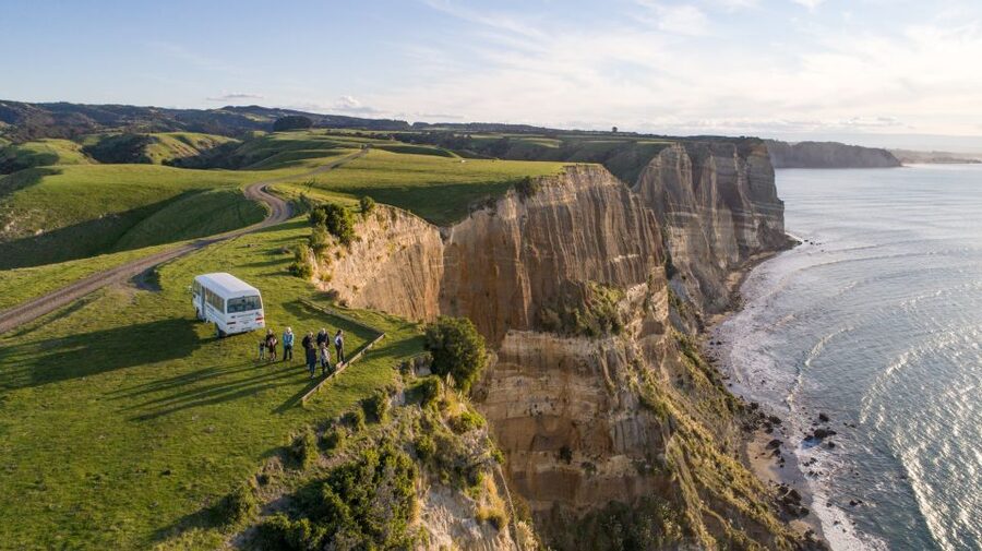 Napier: Cape Kidnappers Gannet, Nature & Sightseeing Tour - Is $59 good value for three hours?