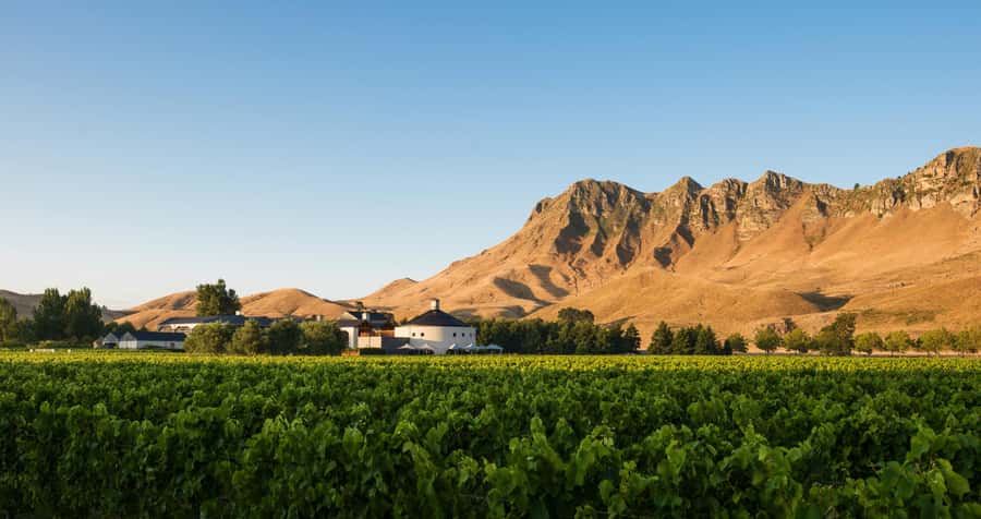 Napier Craggy Range Wine tour with Te Mata Peak summit views - Craggy Range: wine beneath Te Mata Peak