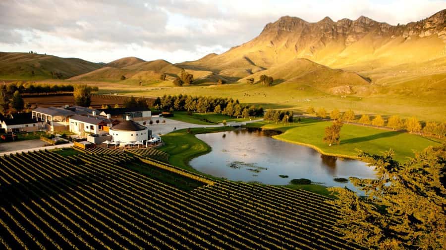 Napier Craggy Range Wine tour with Te Mata Peak summit views - Te Mata Estate adds a second tasting