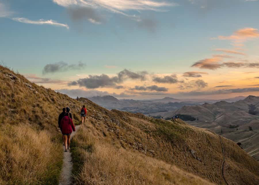 Napier Craggy Range Wine tour with Te Mata Peak summit views - What the price means at $159