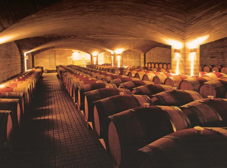 Napier Craggy Range Wine tour with Te Mata Peak summit views - Who will get the most from this tour