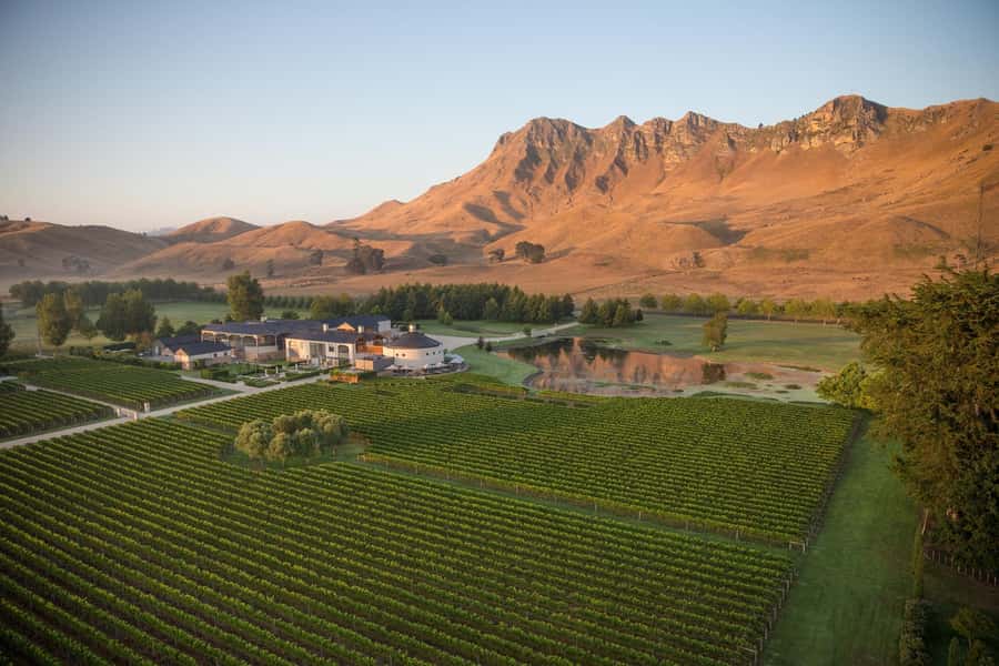 Napier Craggy Range Wine tour with Te Mata Peak summit views - Booking details that matter