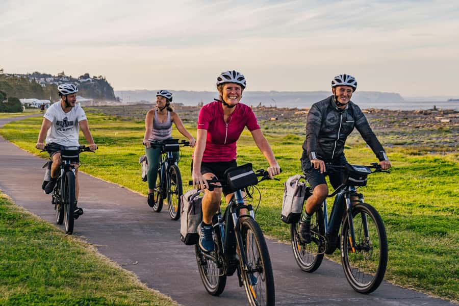 Napier: Cruise Self-Guided Cycle Ride to Winery - Half Day - Key points to know before booking