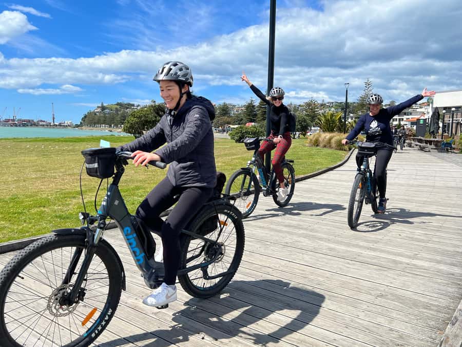 Napier: Cruise Self-Guided Cycle Ride to Winery - Half Day - Starting beside Napier’s shoreline