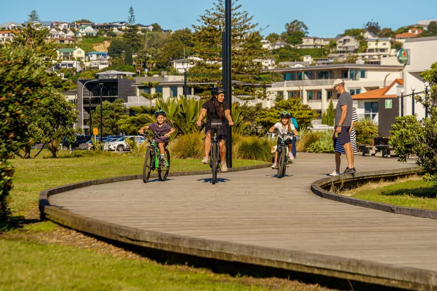 Napier: Cruise Self-Guided Cycle Ride to Winery - Half Day - Practical planning for a cruise day