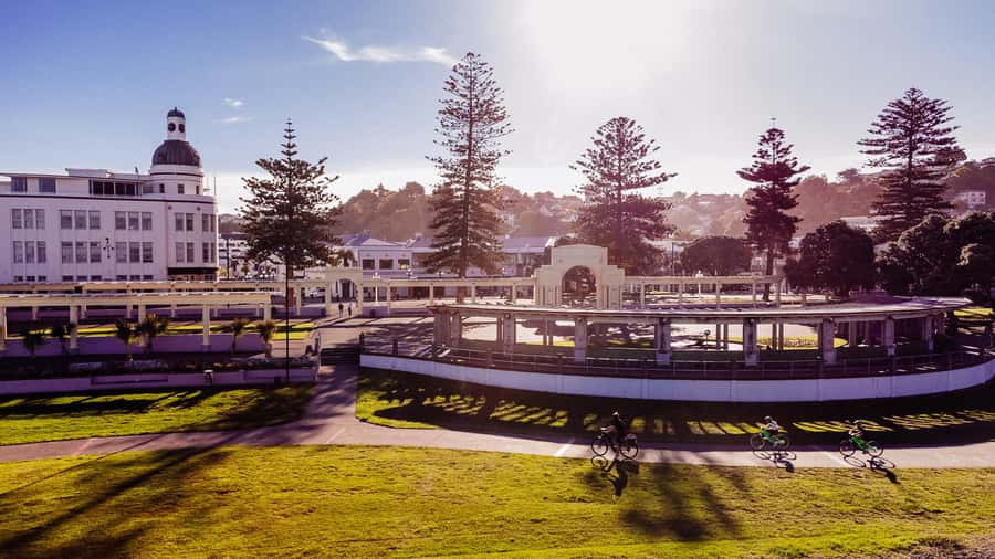 Napier: Cruise Self-Guided Cycle Ride to Winery - Half Day - Who will enjoy this ride most