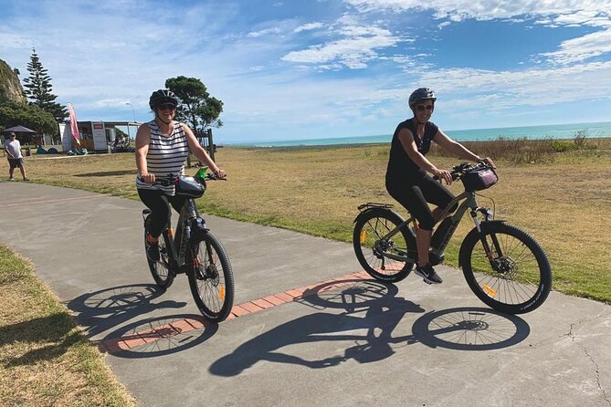 Napier: Cycle to Wineries - Half Day, self-guided - Clearview Estate and Elephant Hill on the coastal side
