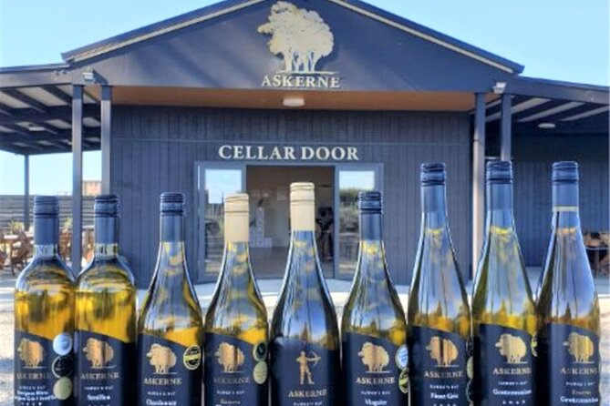 Napier Gourmet Winery Luncheon + tastings at 3 Great Wineries - Timing, pickup, and practical planning
