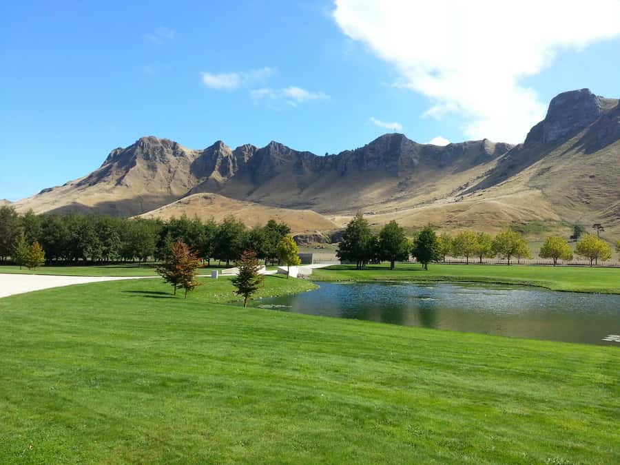 Napier: Highlights & Tour Exploring the Best of this Region - Te Mata Peak or honey tasting in Havelock North