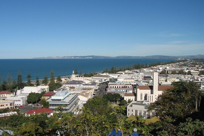 Napier Shore Excursion: City Sights and Hawke's Bay Tour - What this four-hour route actually gives you