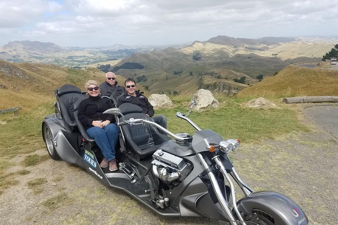 Napier Shore Excursion: Wine & Art Deco Tour - The guides make the difference