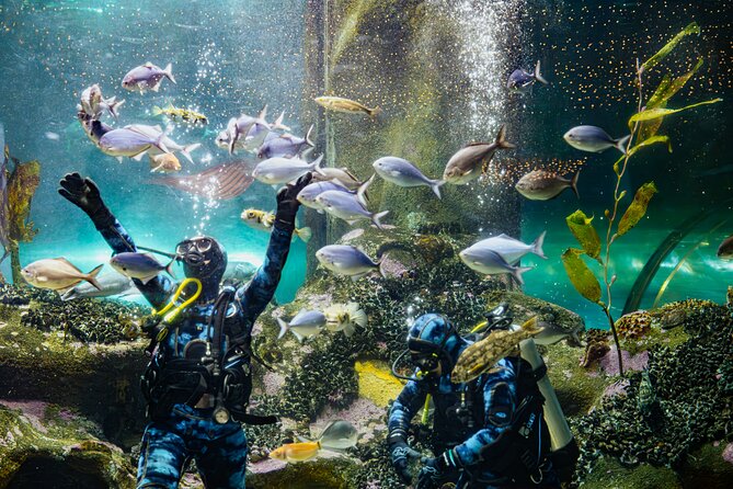 National Aquarium of New Zealand in Napier General Admission - Follow the route from mountains to freshwater