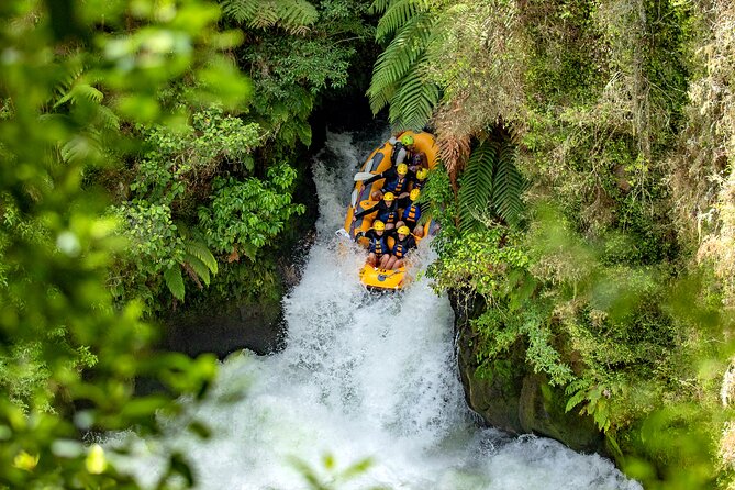 National Kiwi Hatchery - Kiwi Encounter Guided Tour - Practical details for your Rotorua day