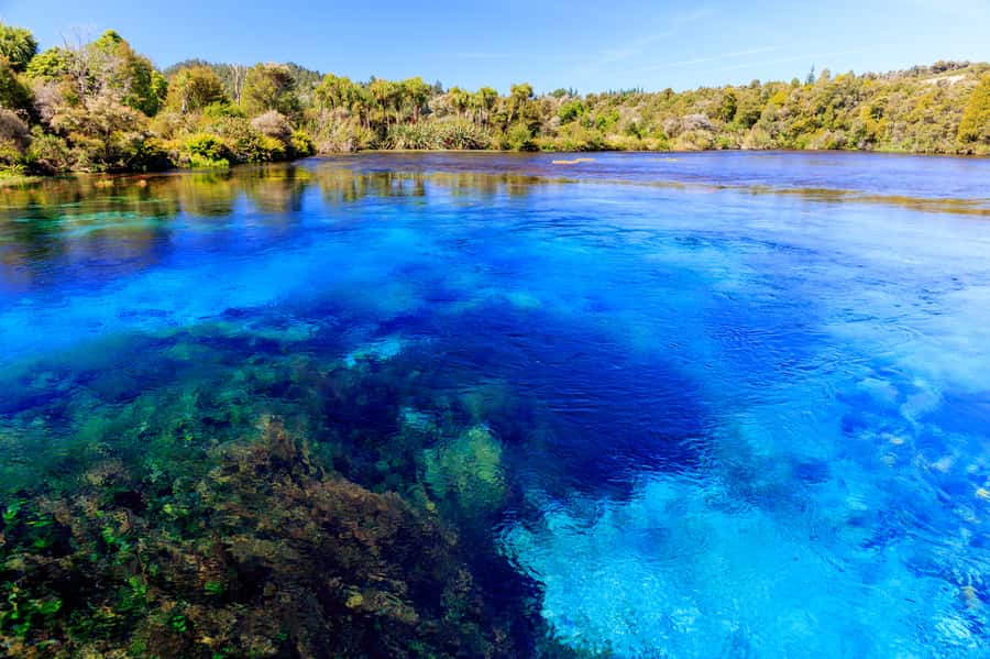 Nelson: Abel Tasman Cruise-Fly Day Tour - Who will enjoy this day most?