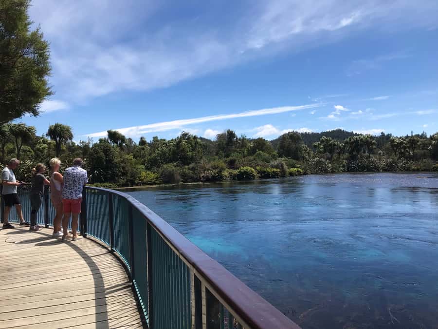 Nelson: Abel Tasman Cruise-Fly Day Tour - Why this Abel Tasman day works