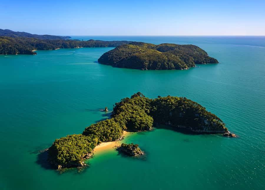 Nelson: Abel Tasman Cruise-Fly Day Tour - The clear water of Te Waikoropupū Springs