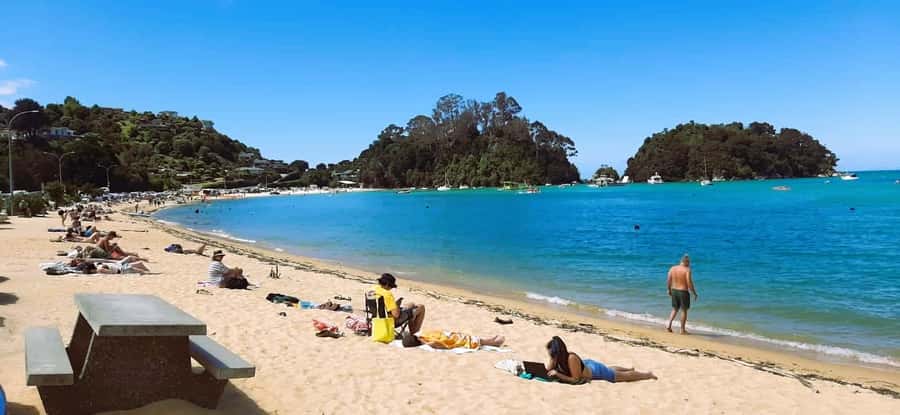 Nelson: Abel Tasman Cruise-Fly Day Tour - Is $417 a fair price?