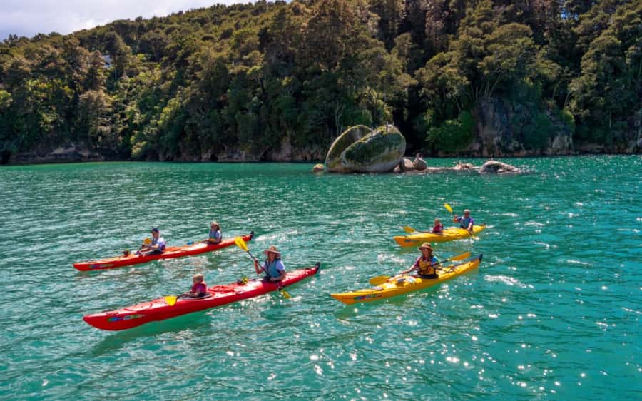 Nelson: Abel Tasman Kayaking & Great Taste Trail Bike Tour - A 7am start sets up a full day outside