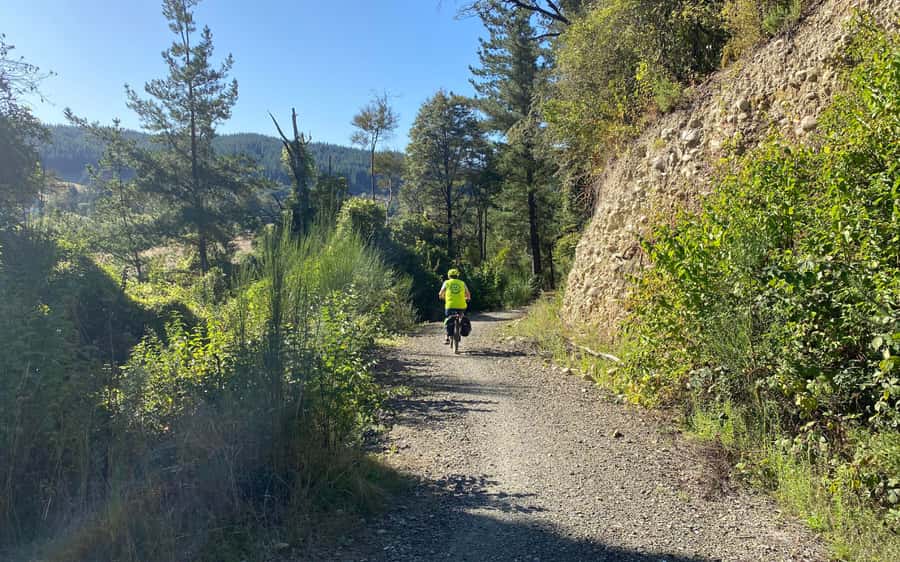 Nelson: Abel Tasman Kayaking & Great Taste Trail Bike Tour - The Kaiteriteri Mountain Bike Park climb