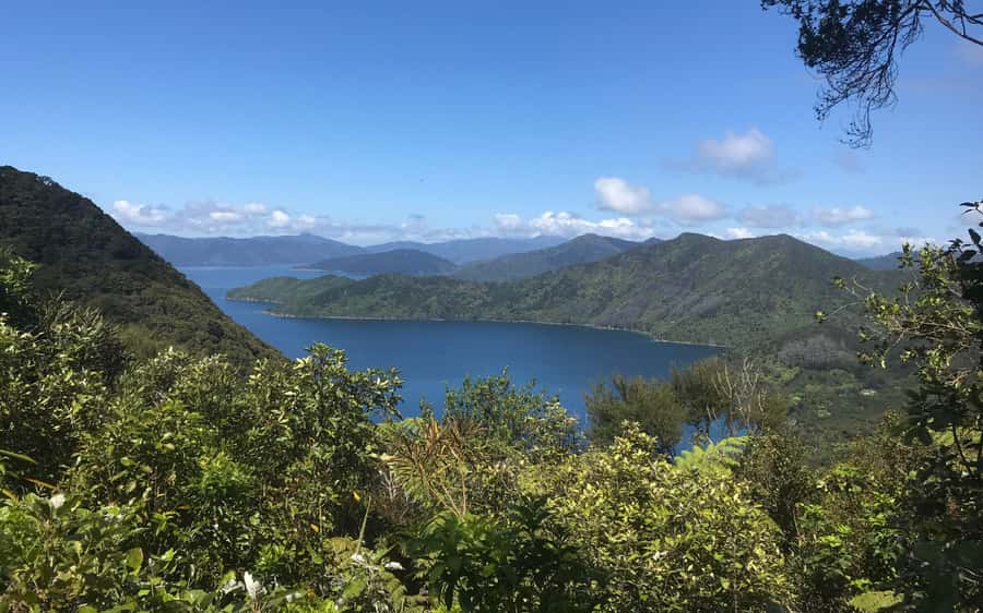 Nelson: Abel Tasman Kayaking & Great Taste Trail Bike Tour - How much value do you get for $191?
